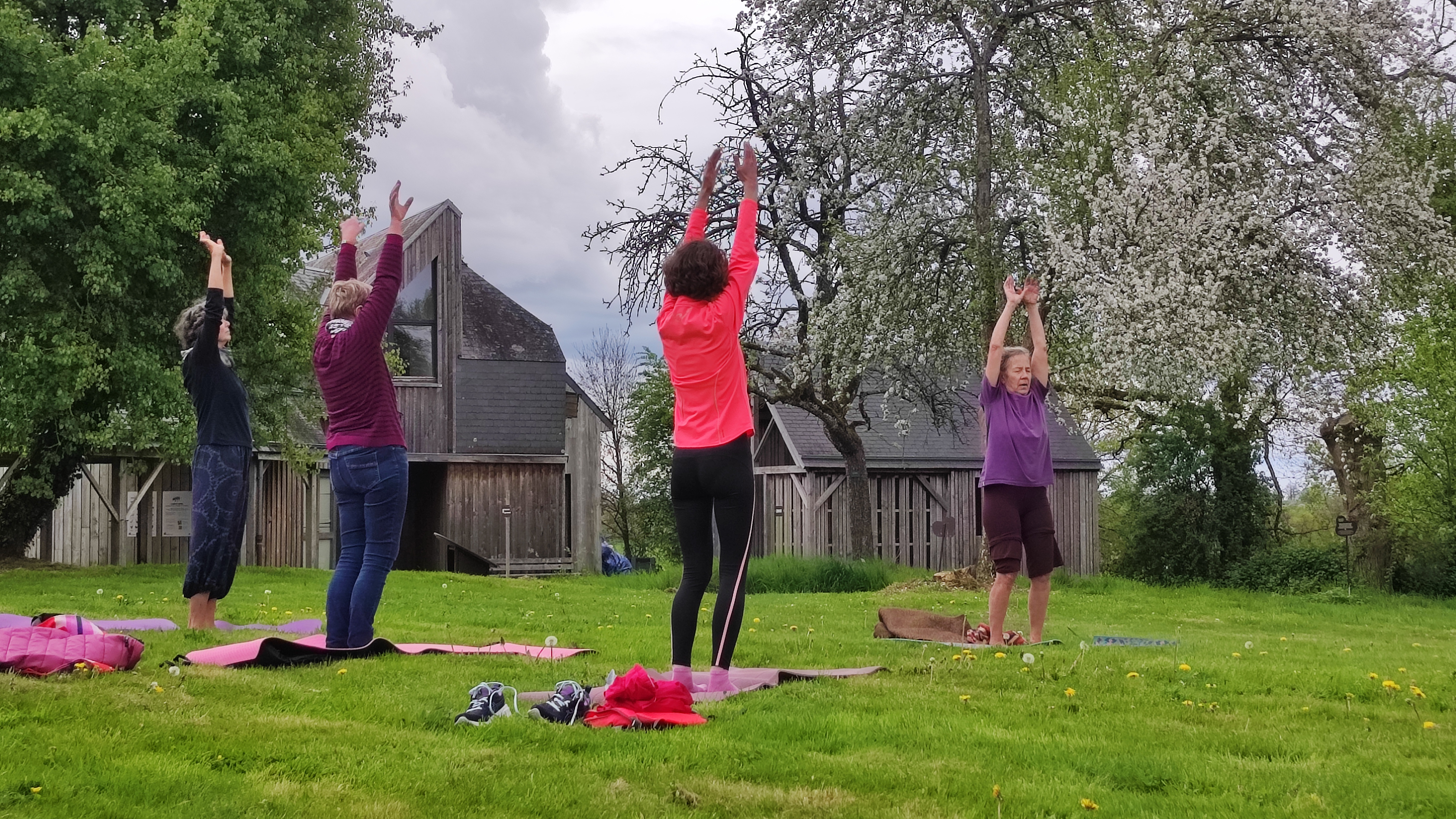 Yoga sous les poiriers en fleurs