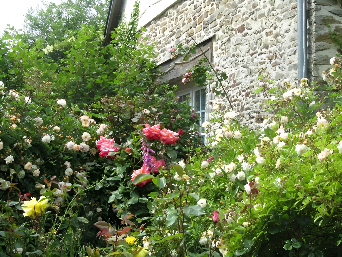 Les Magnolias, Cahagnes - photo 17
