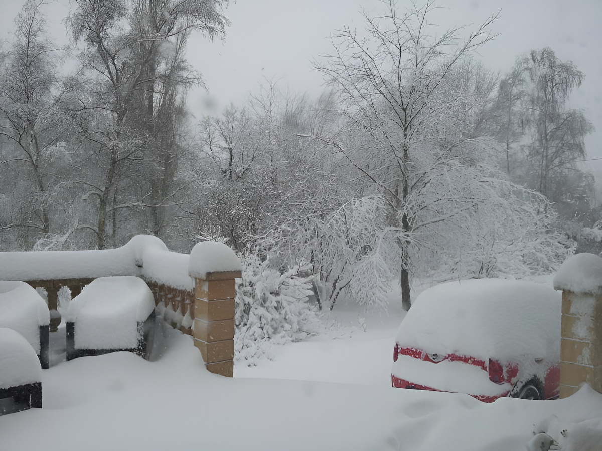 Les Magnolias, Cahagnes - photo 22