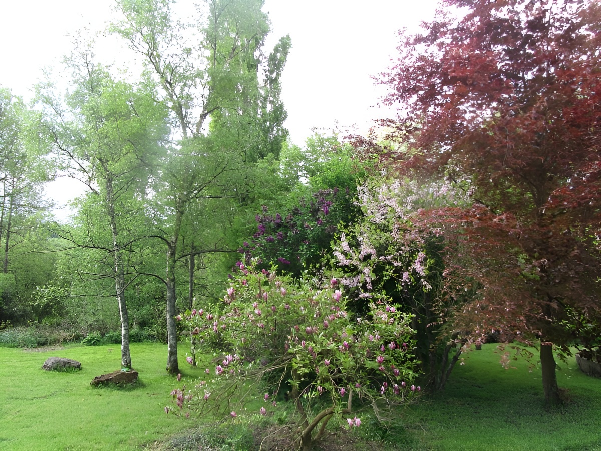 Les Magnolias, Cahagnes - photo 21