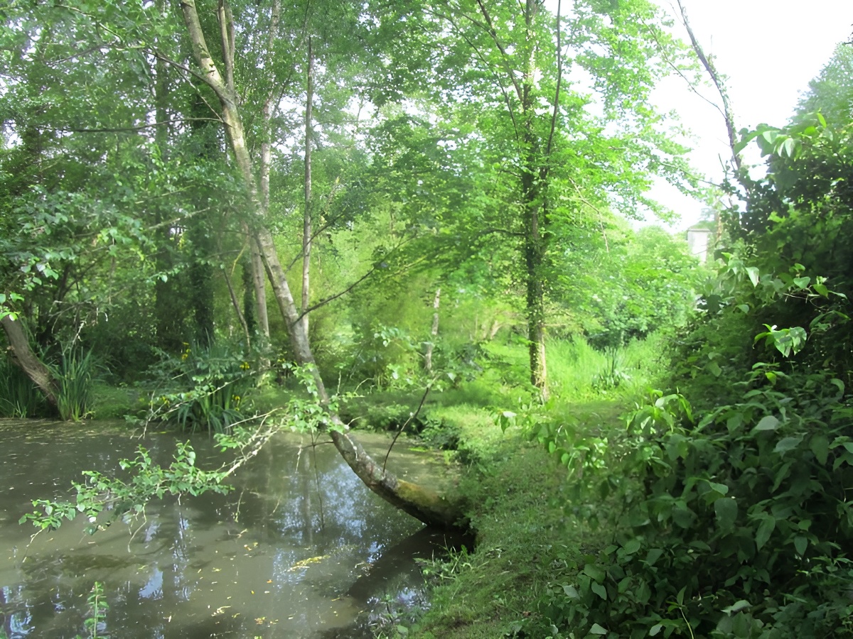 Les Magnolias, Cahagnes - photo 6
