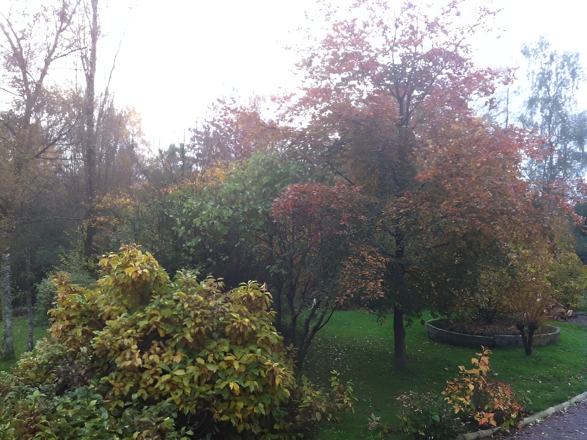 Les Magnolias, Cahagnes - photo 3