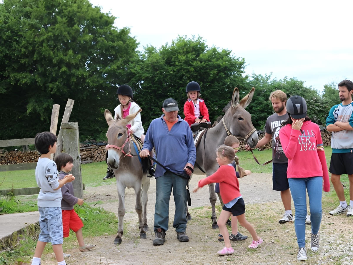 Le Pressoir, Saint-Germain-de-Livet - photo 12