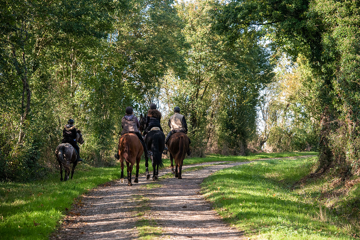 Etape 3 La Chevauchée du Pays d'Auge à la Seine : Le Billot – Notre-Dame-de-Courson