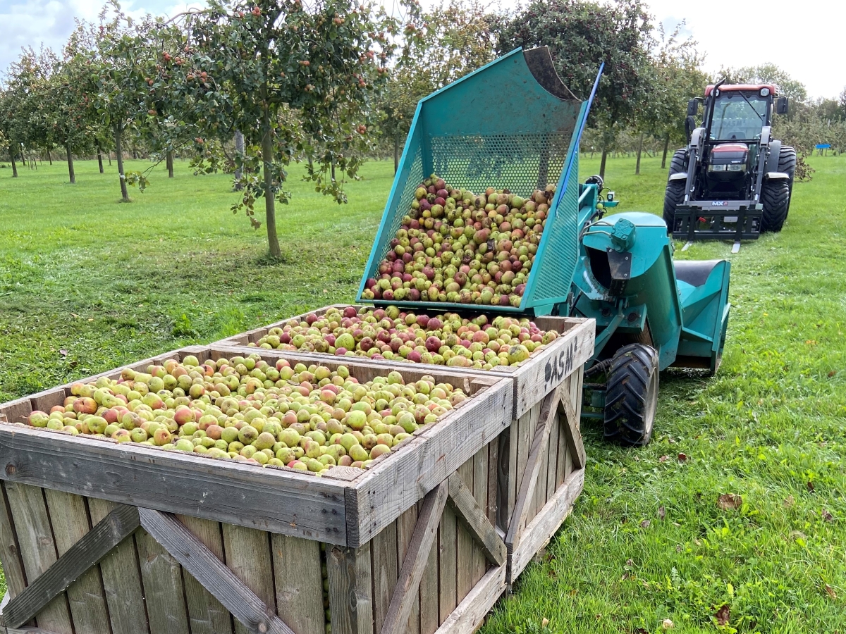 Pomage, Tracy-sur-Mer - photo 4