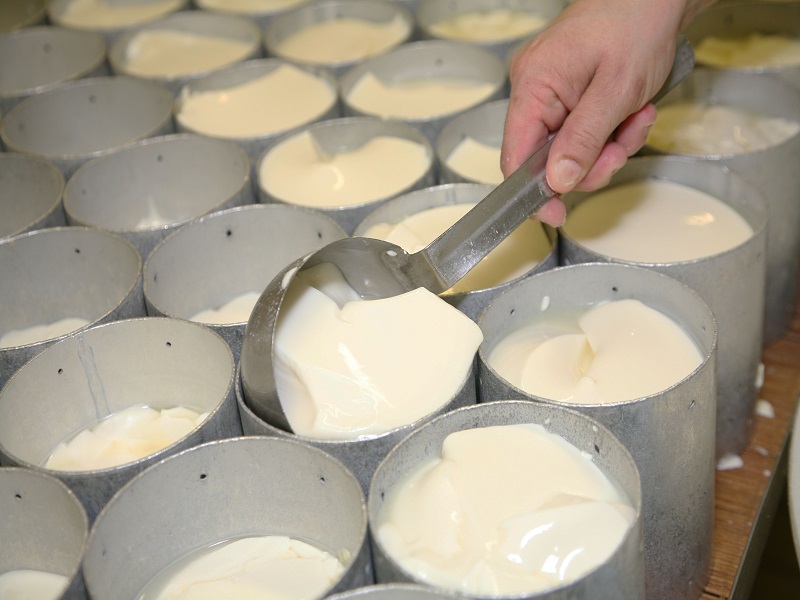  Laiterie Th. Réaux - Boutique