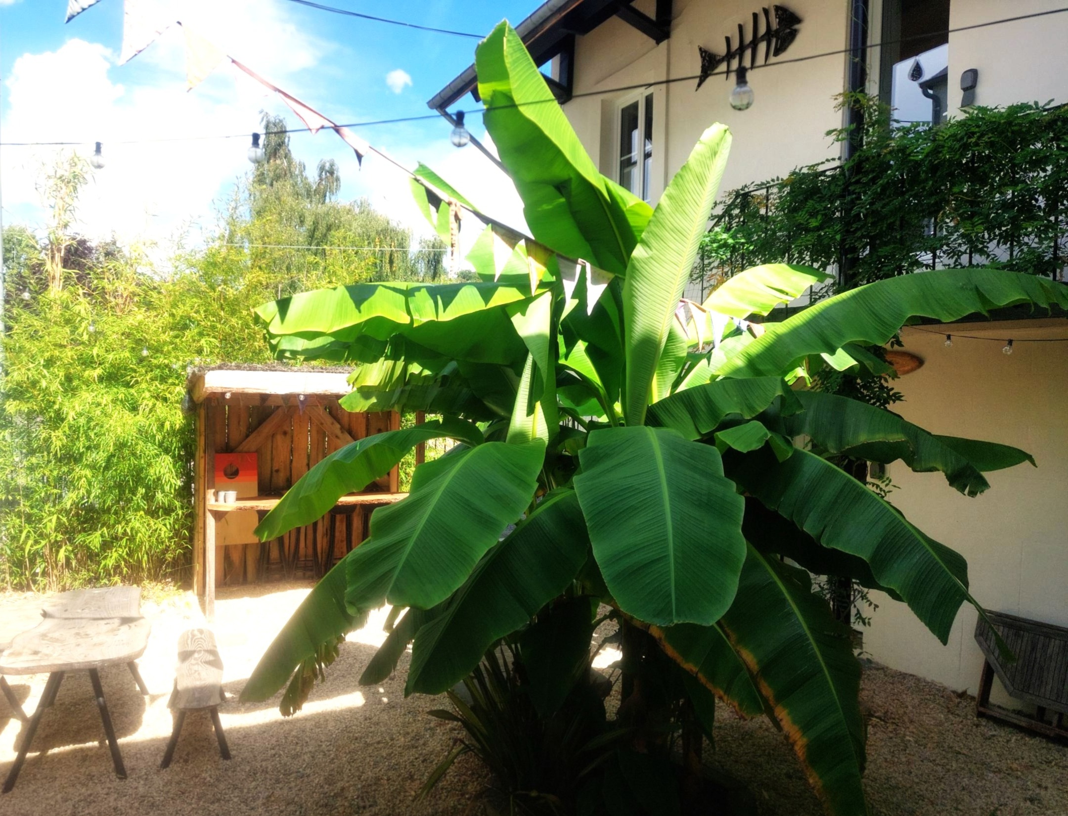Les pieds dans l'Orne - Gîte Le Cormoran, Thury-Harcourt-le-Hom - photo 6