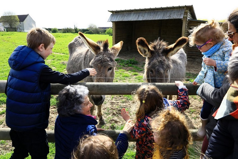 Ferme-musée du Cotentin, Sainte-Mère-Église - photo 16