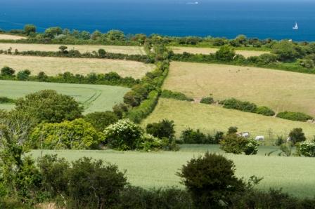 Le circuit de la Plume