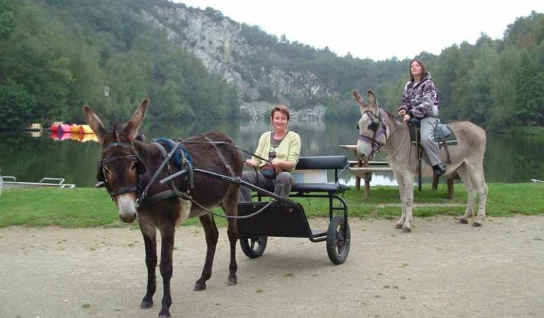2012_Bolleville_CTE Chevaux & Anes des Mares_mont castre_TIS 2012_Bolleville_CTE Chevaux & Anes des Mares_mont castre_TIS