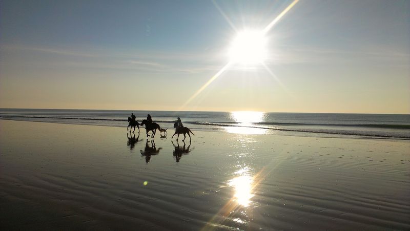 Centre Equestre d'Hauteville-sur-Mer, Hauteville-sur-Mer - photo 5