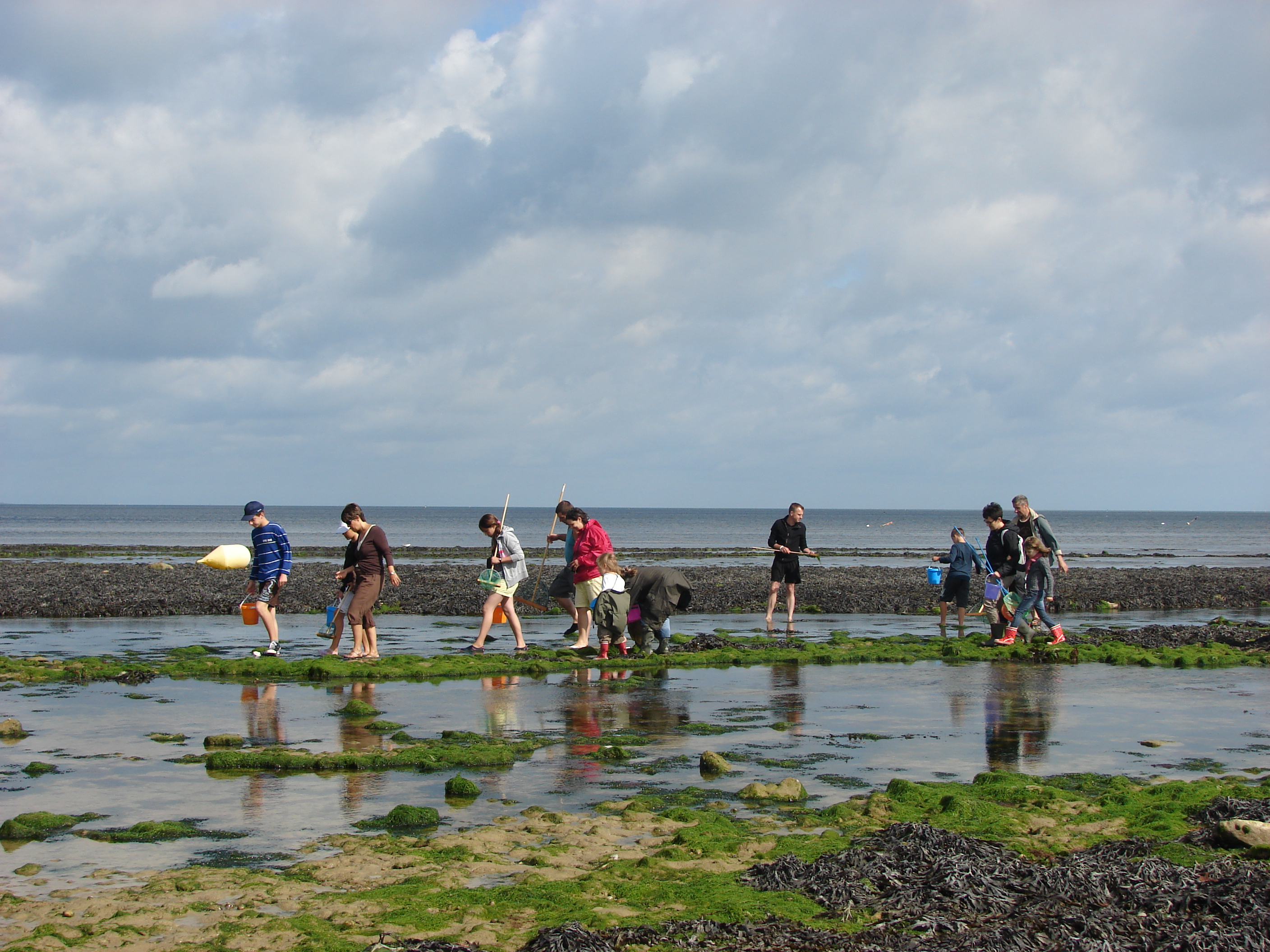 Atelier familles "A vos épuisettes ! découverte des trésors du littoral", Grandcamp-Maisy - photo 2
