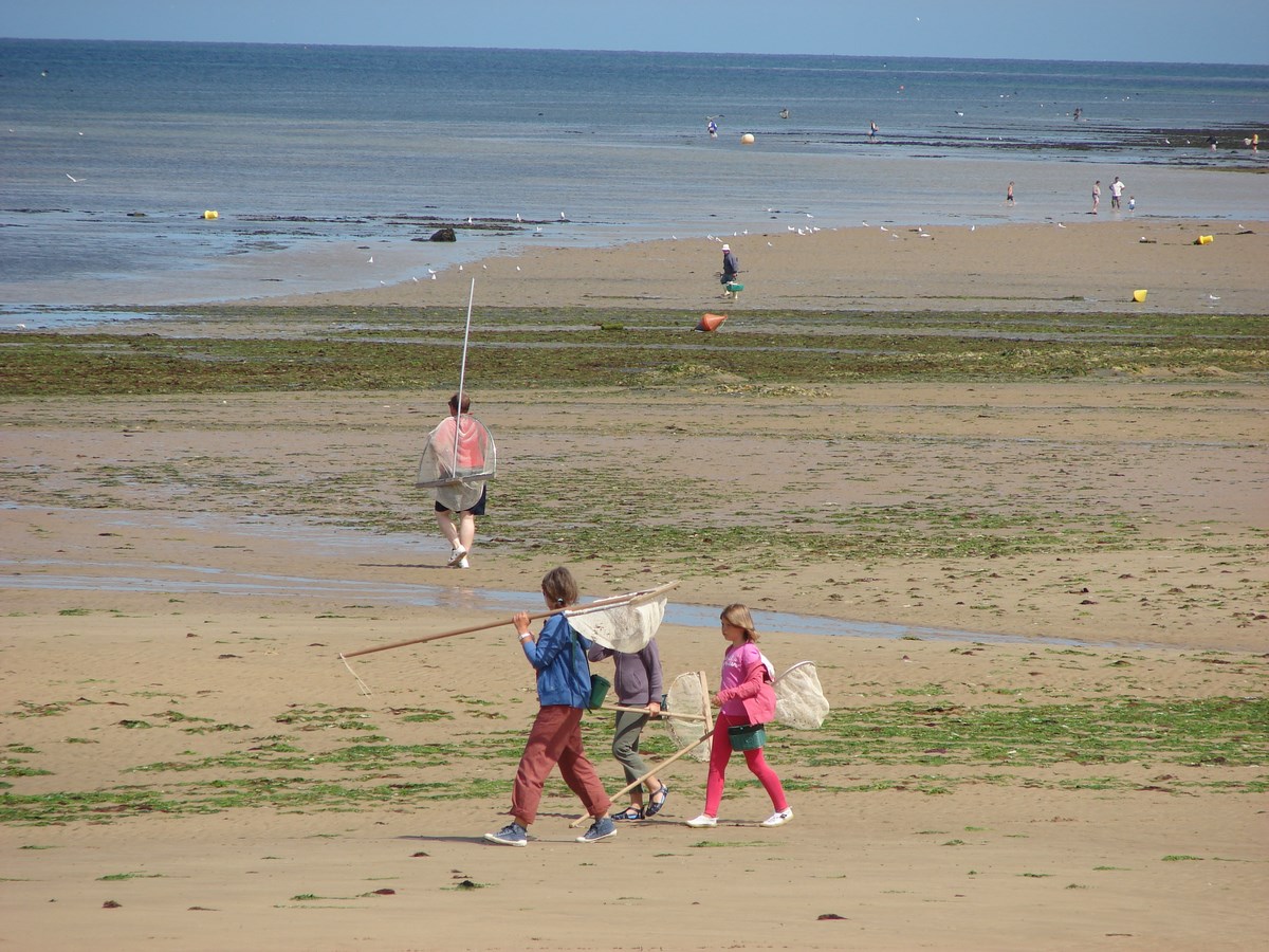 GROUPE scolaire - Pêche à pied