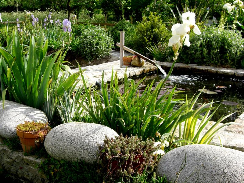 Le Jardin du Marais, Audouville-la-Hubert - photo 6