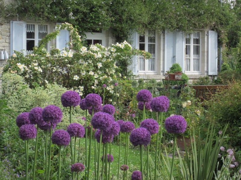 Le Jardin du Marais, Audouville-la-Hubert - photo 2