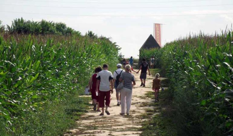 2013_Bricqueville_Labyrinthe_8161 2013_Bricqueville_Labyrinthe_8161