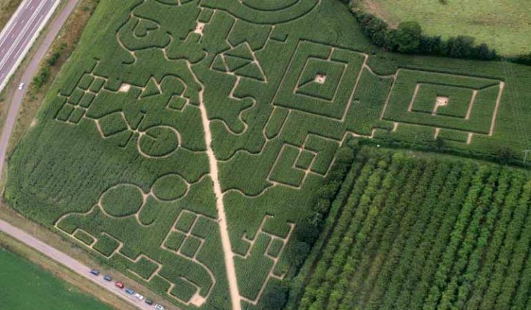 2013_Bricqueville_Labyrinthe_vue aerienne 2013_Bricqueville_Labyrinthe_vue aerienne
