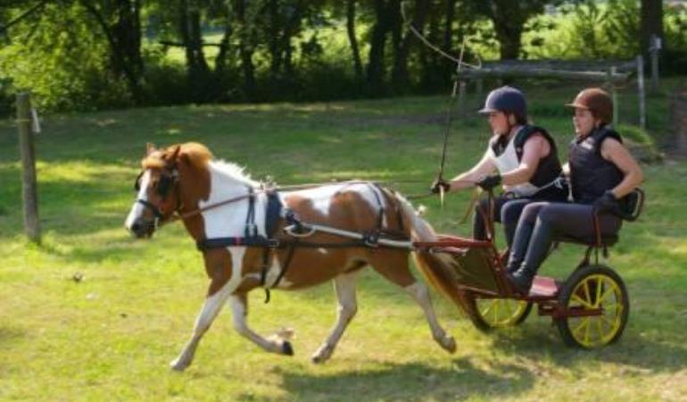 2013_Centre_Equestre_La_Chapelle_Cécelin@C.Desmottes 2013_Centre_Equestre_La_Chapelle_Cécelin@C.Desmottes