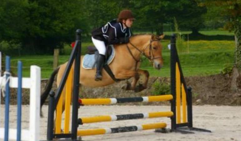 2013_Centre_Equestre_La_Chapelle_Cécelin1@C.Desmottes 2013_Centre_Equestre_La_Chapelle_Cécelin1@C.Desmottes