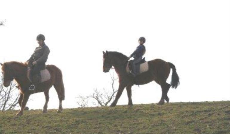 2013_Centre_Equestre_La_Chapelle_Cécelin2@C.Desmottes 2013_Centre_Equestre_La_Chapelle_Cécelin2@C.Desmottes