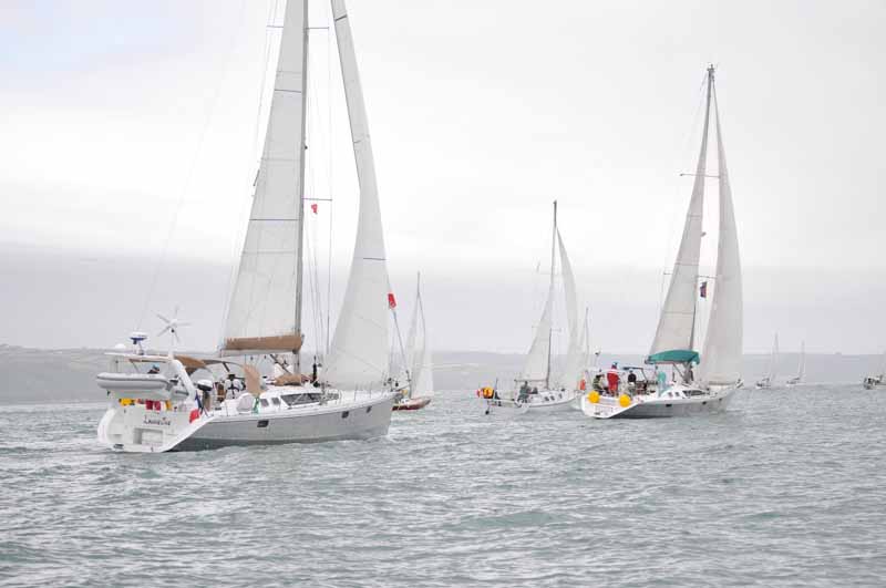 Aries AMS Marine - photo 4