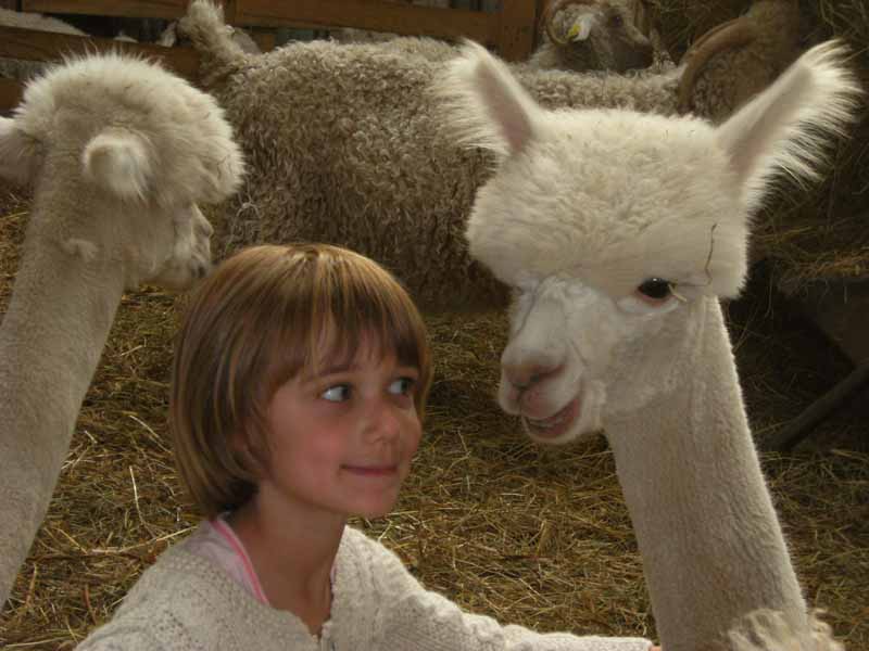 Là-Bas Laines, La Baleine - photo 8