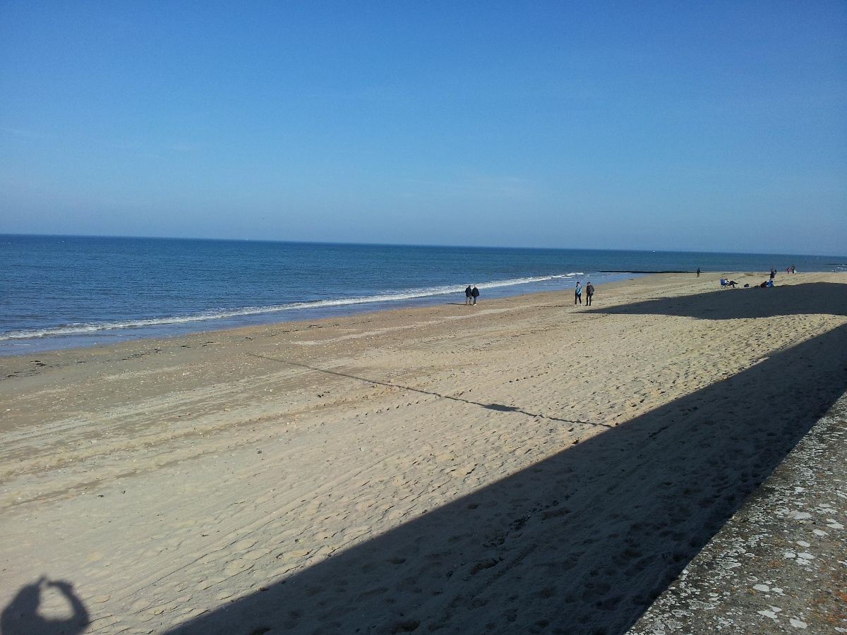 M.Krikorian - Bois Joli