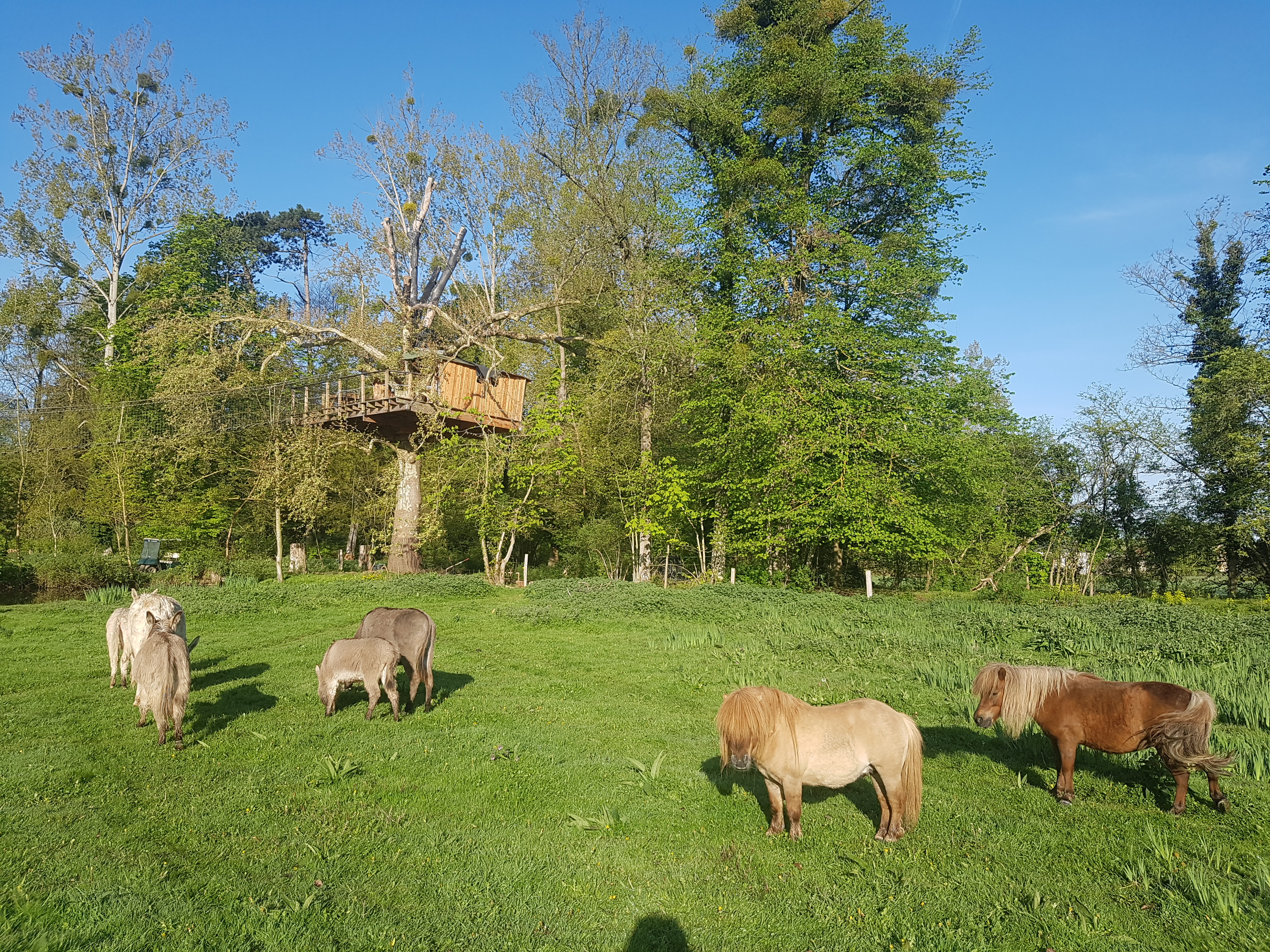Cabanes du Domaine de Ouezy
