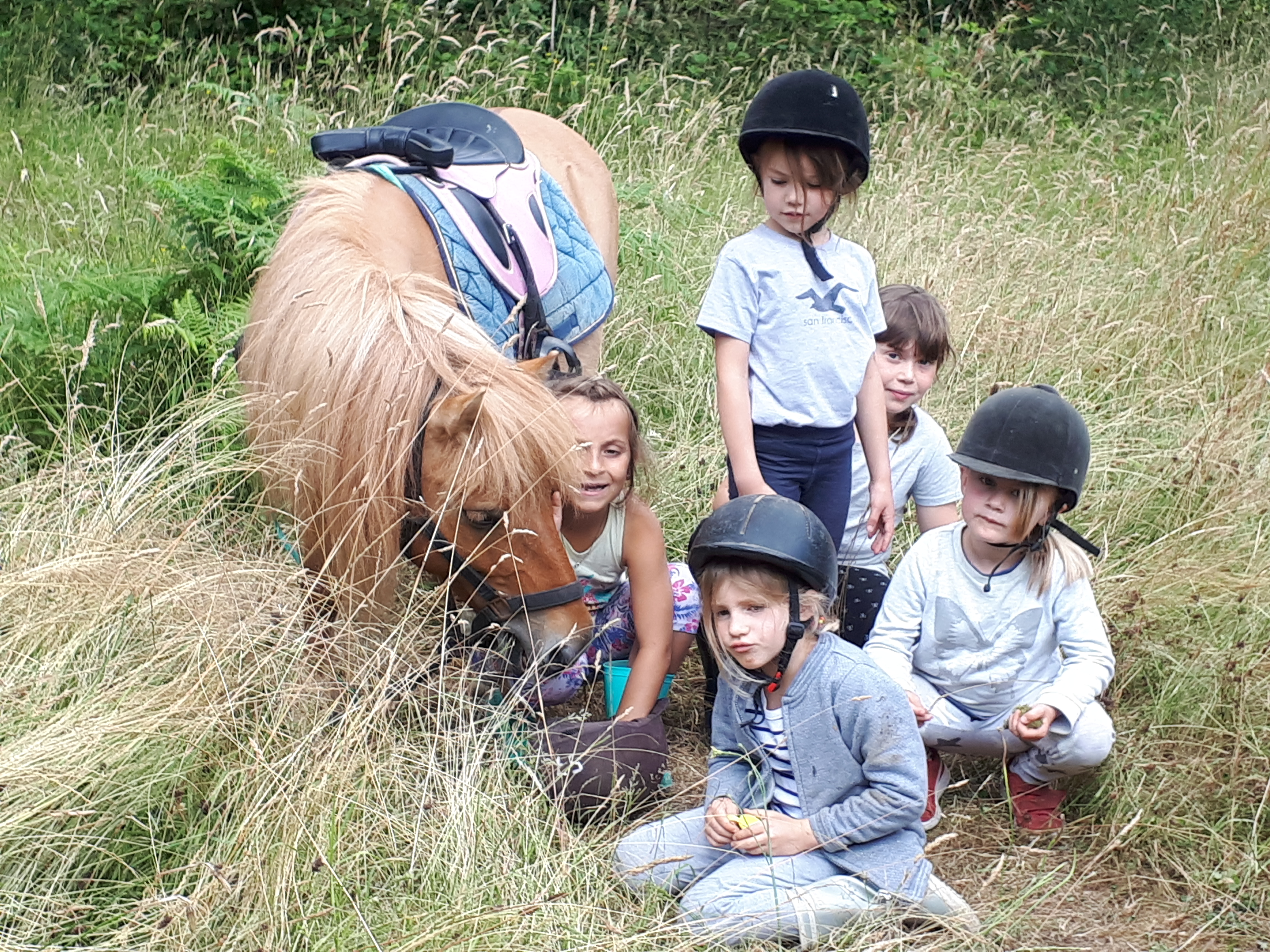 BALADE EQUESTRE EN FAMILLE OU ENTRE AMIS (les Louveaux), Le Molay-Littry - photo 5