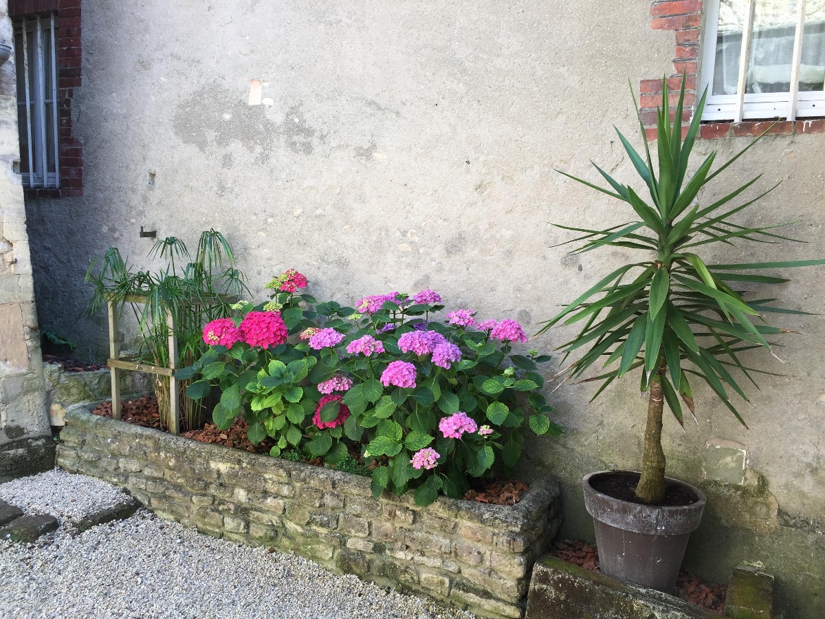 Gîte des Hortensias, Bayeux - photo 6
