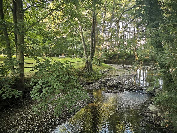 Randonnée châtaignes à Sainte Marie Laumont, Souleuvre en Bocage - photo 3