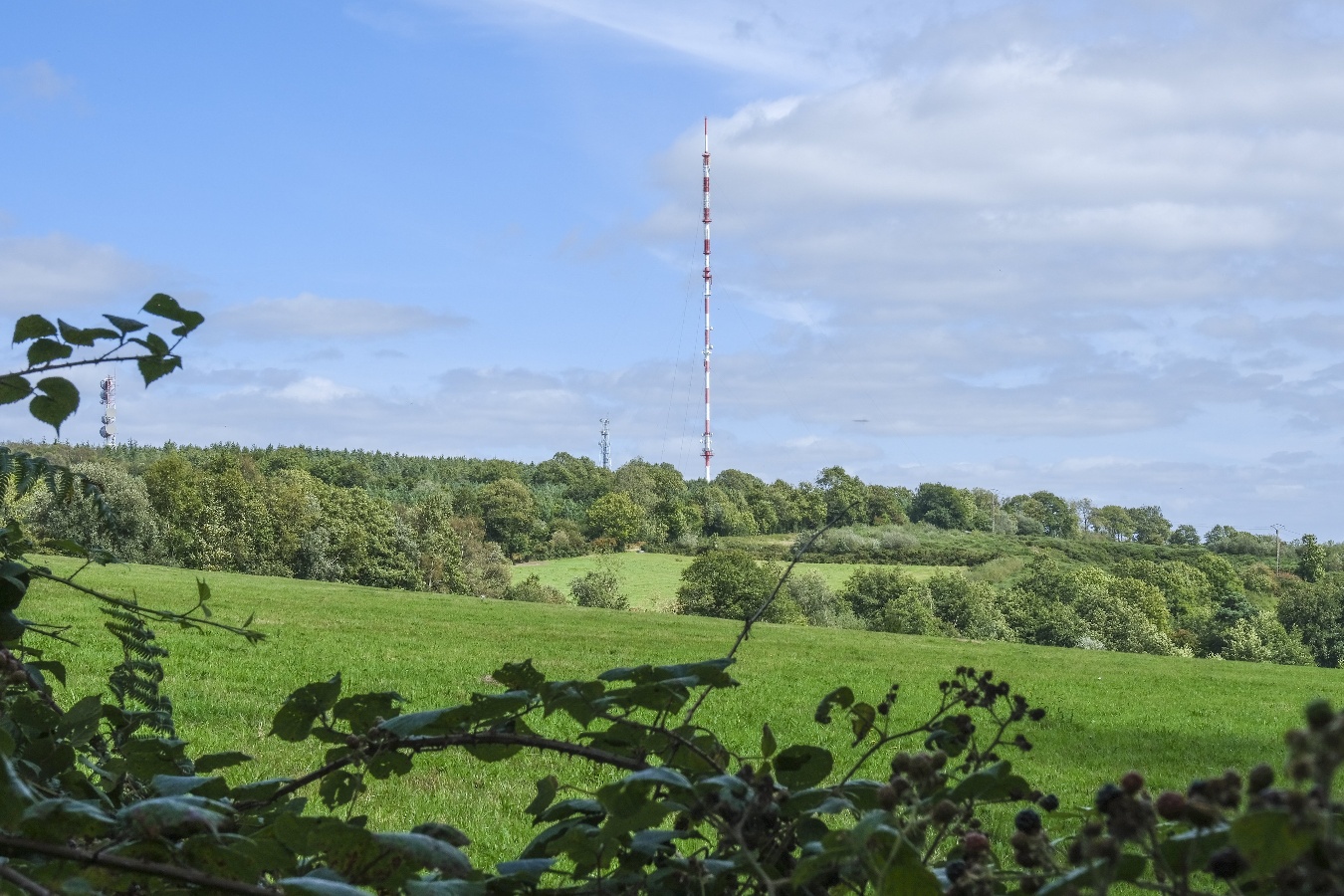 Les landes du mont Pinçon, Les Monts d'Aunay - photo 3