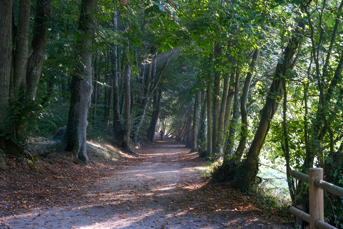Parcours Permanent d'Orientation de Villers-Bocage, Villers-Bocage - photo 3