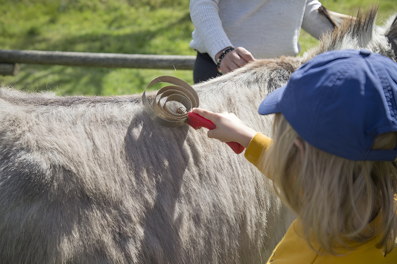 Le Pas d'Ane, Souleuvre en Bocage - photo 2