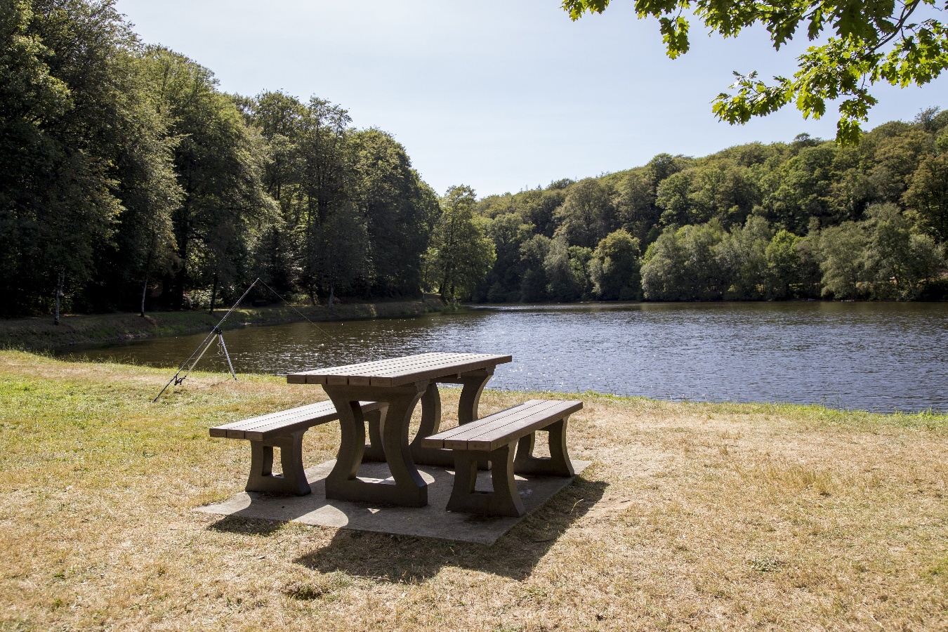 Forêt Domaniale de Saint-Sever-Calvados