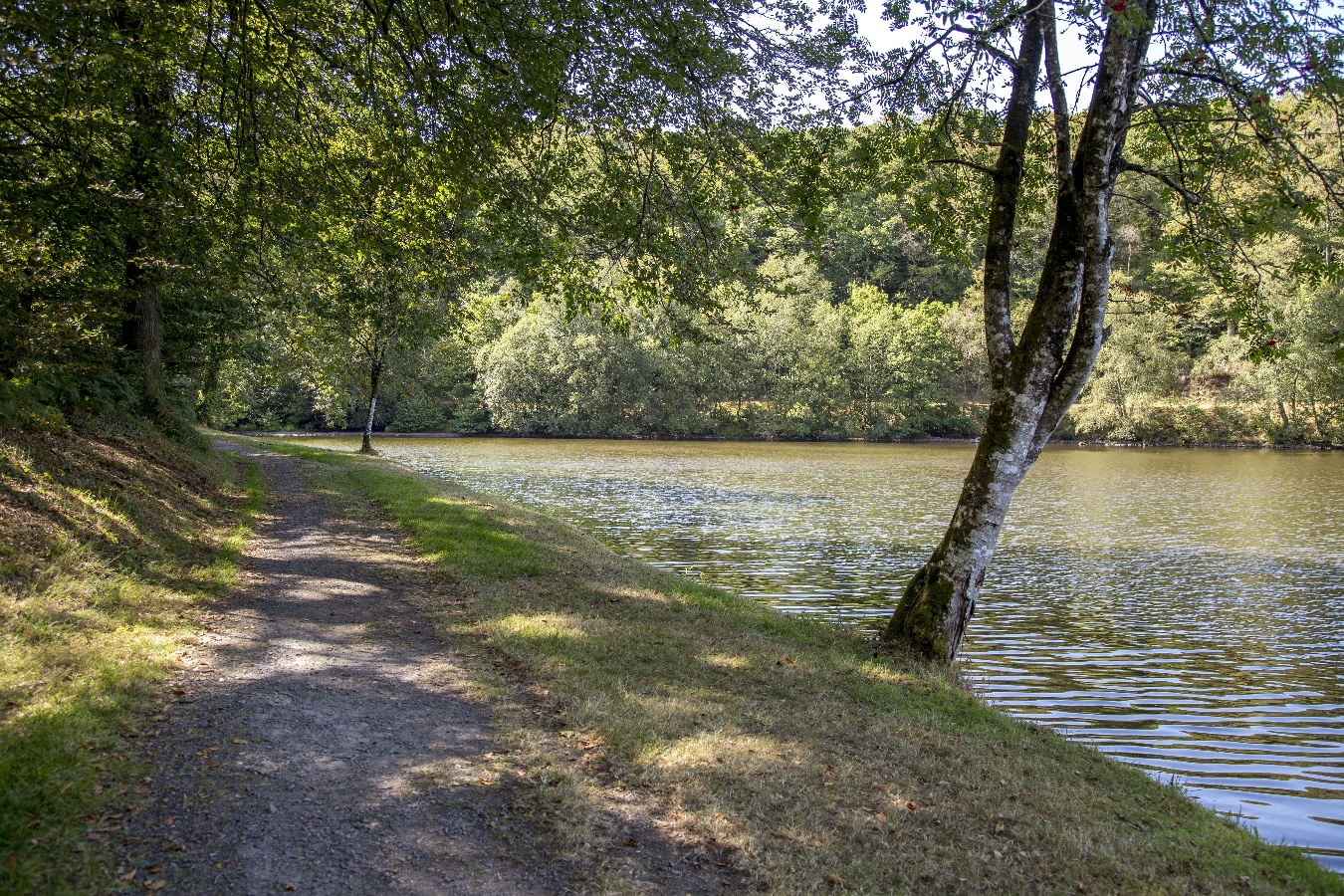Forêt Domaniale de Saint-Sever-Calvados, Noues de Sienne - photo 3
