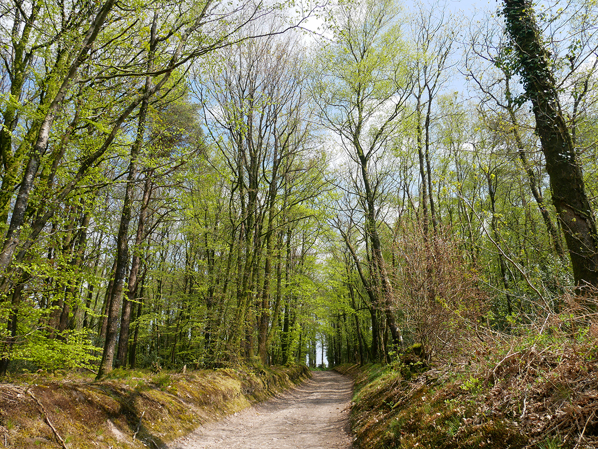 Le Schuss des Souches, Les Monts d'Aunay - photo 4