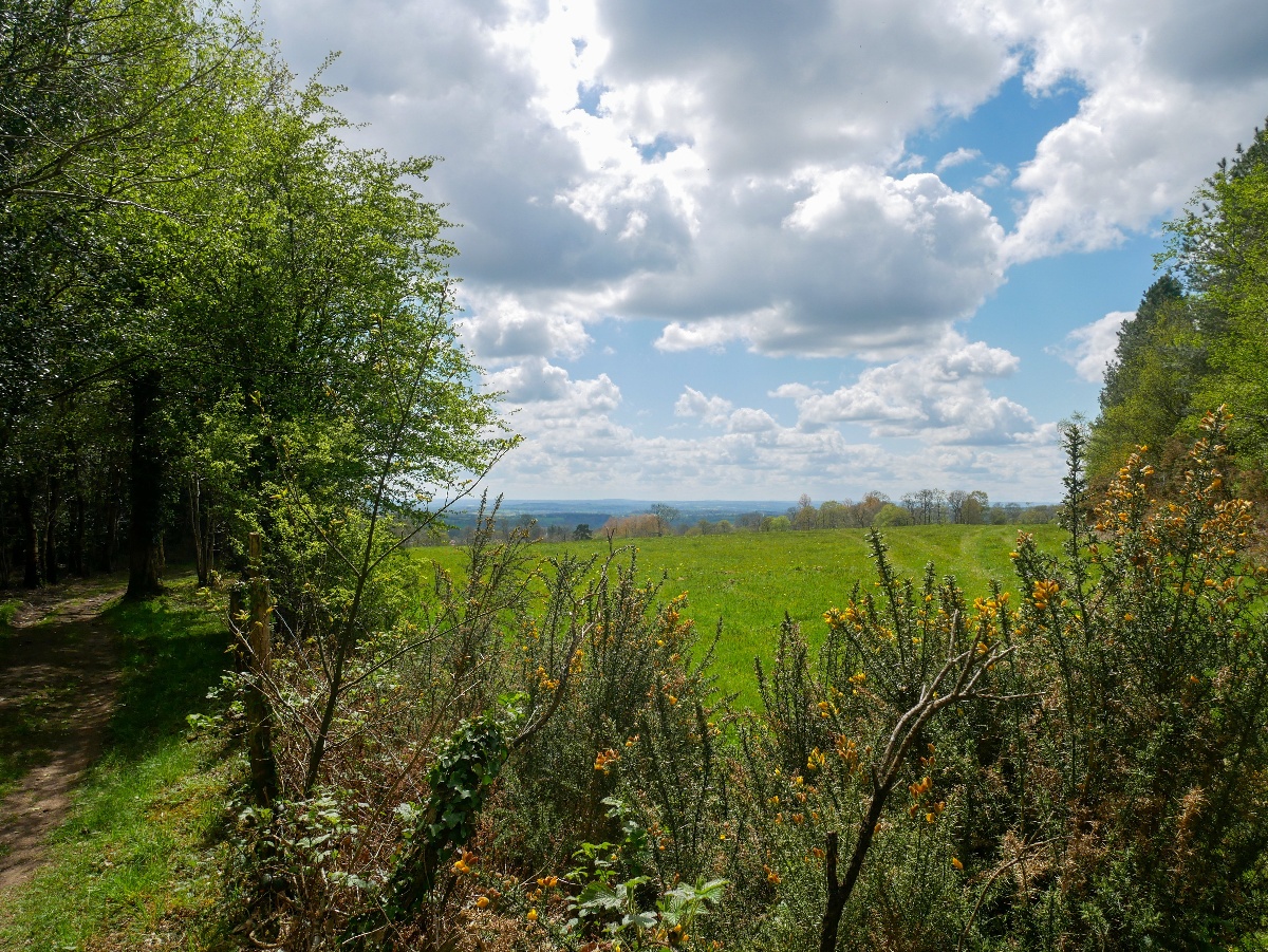 Les landes du mont Pinçon, Les Monts d'Aunay - photo 2