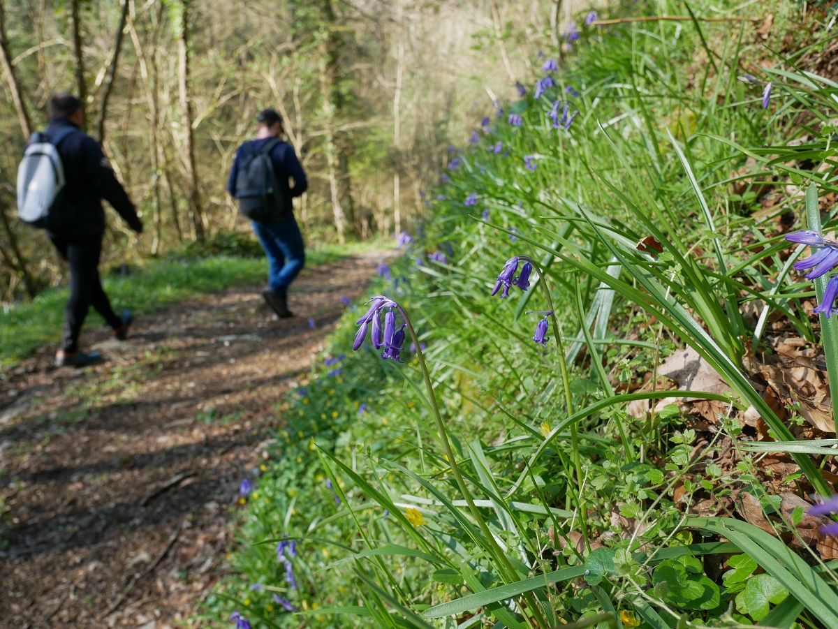 Sur les hauteurs de La Villette, La Villette - photo 4