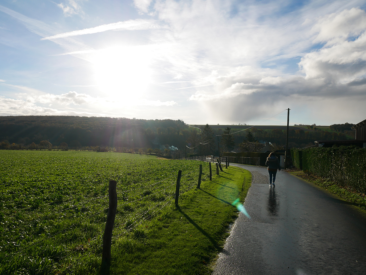 Le périple d'Odon, Les Monts d'Aunay - photo 2