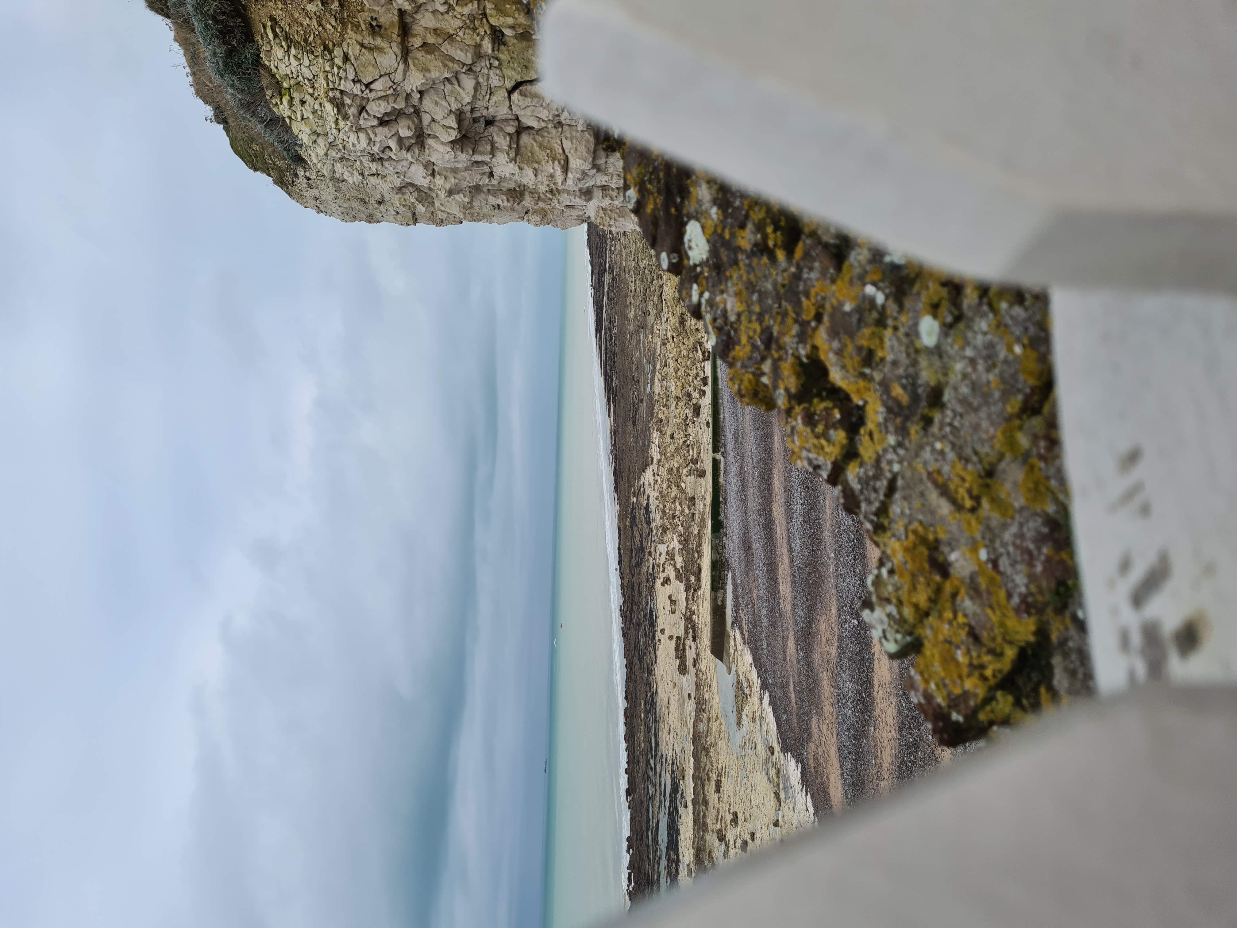 [Balade nature] Le littoral à marée basse - Puys