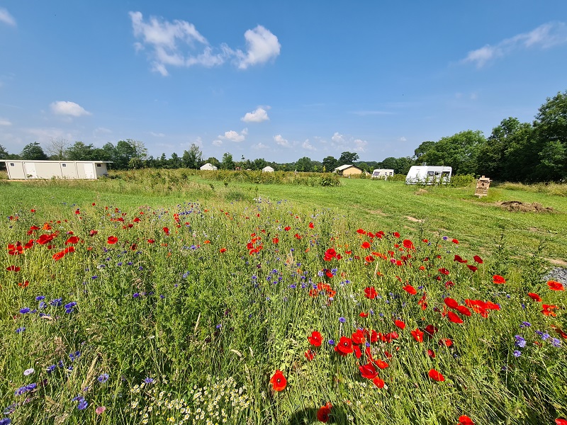 Camping La Croisée des Chemins