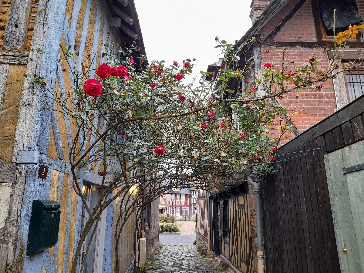 ACSM Tours, Douvres-la-Délivrande - photo 5