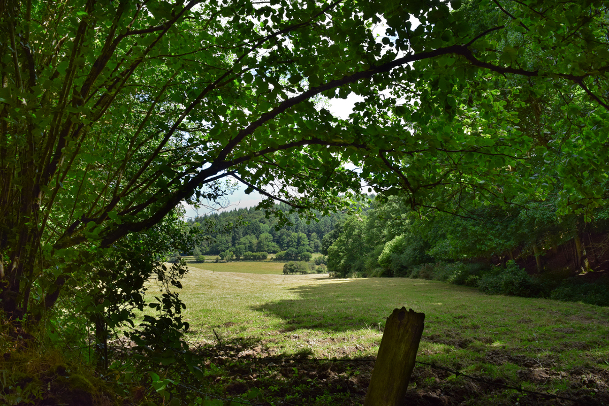 Le Schuss des Souches, Les Monts d'Aunay - photo 2