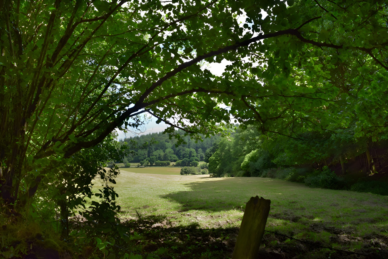 Balade : Mystérieuses chouettes - photo 3