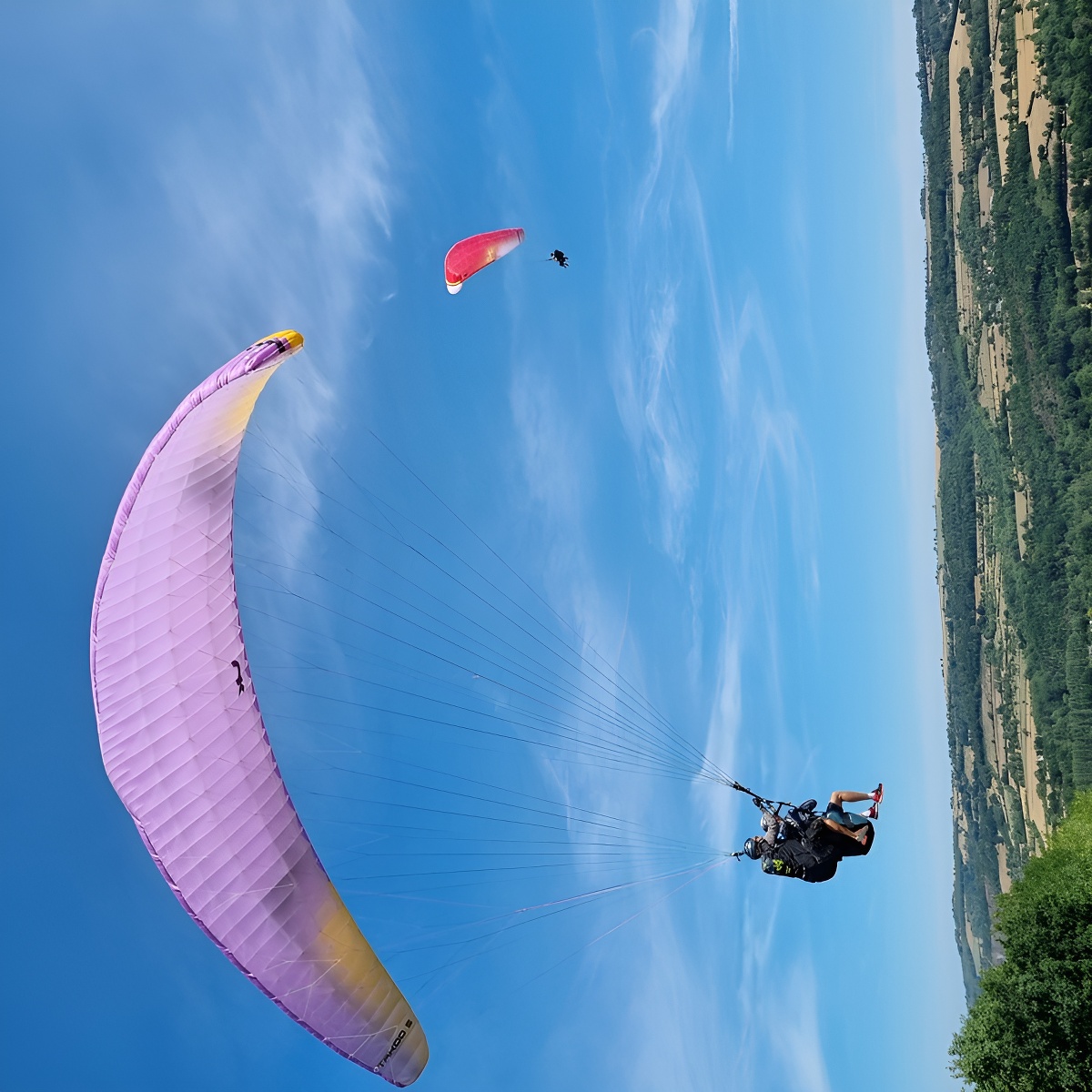 Plaine Altitude, Saint-Omer