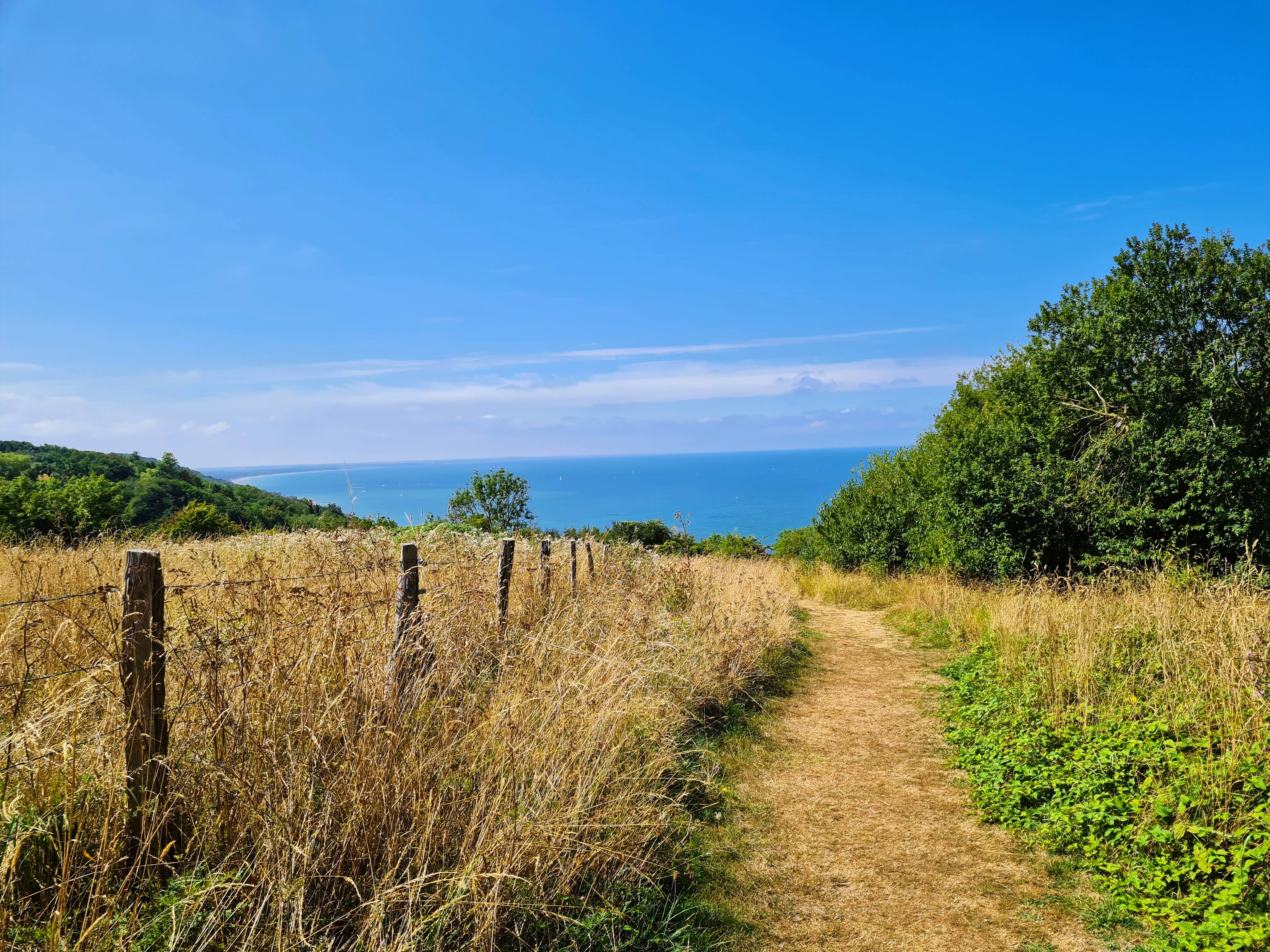 Sur les hauteurs des falaises des vaches noires.