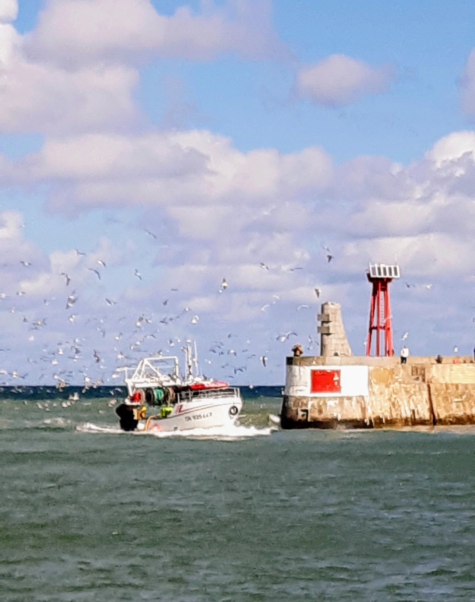 Gîte " Emilon ", Grandcamp-Maisy - photo 6