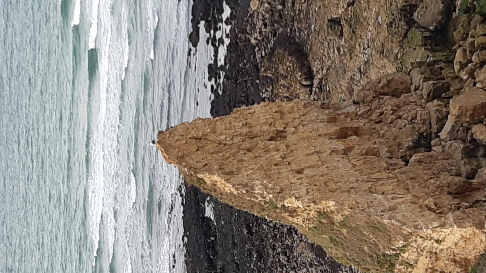 Gîte " Emilon ", Grandcamp-Maisy - photo 11