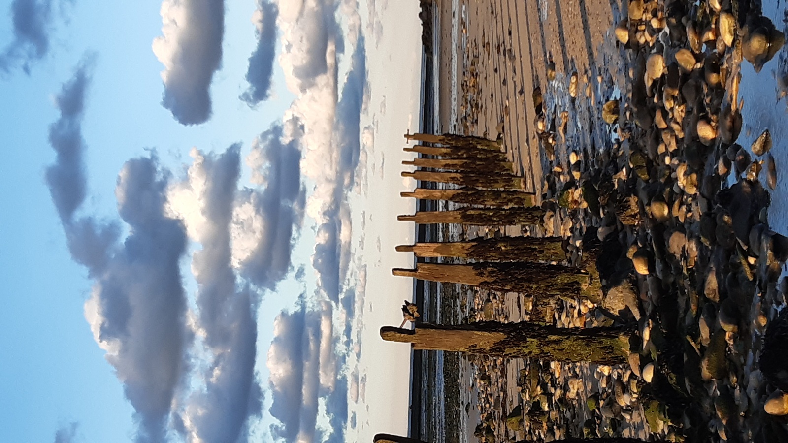 Gîte " Emilon ", Grandcamp-Maisy - photo 3